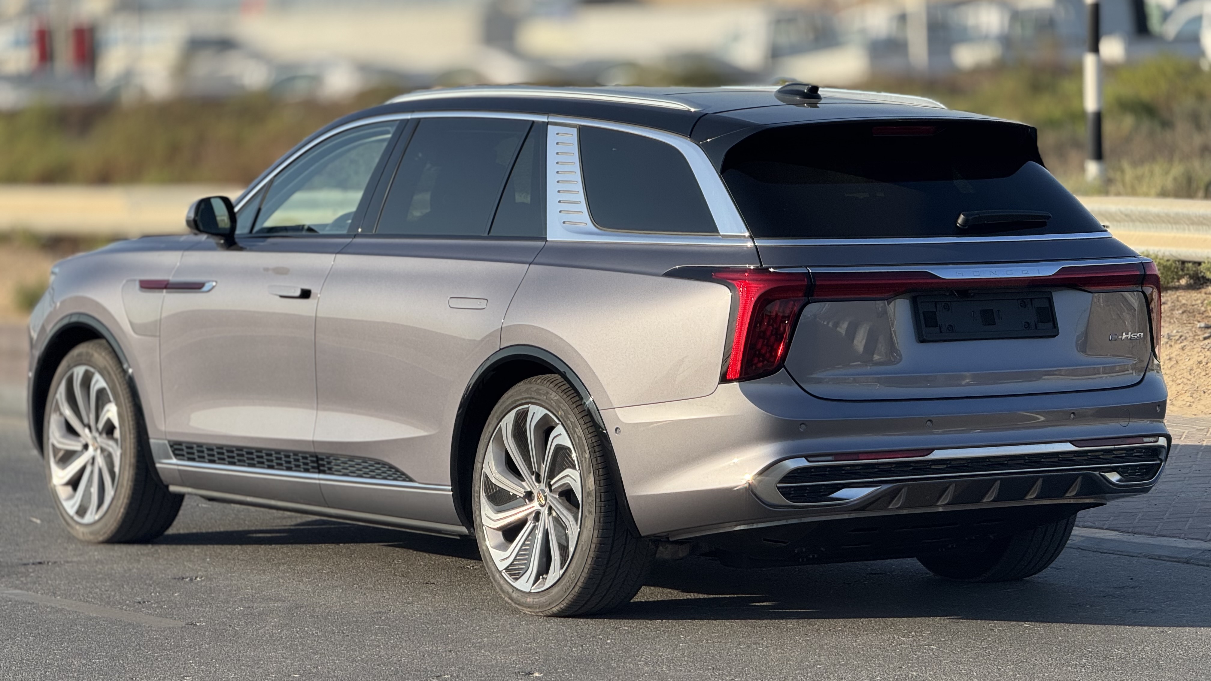 Hongqi E-HS9 Flagship - View 4