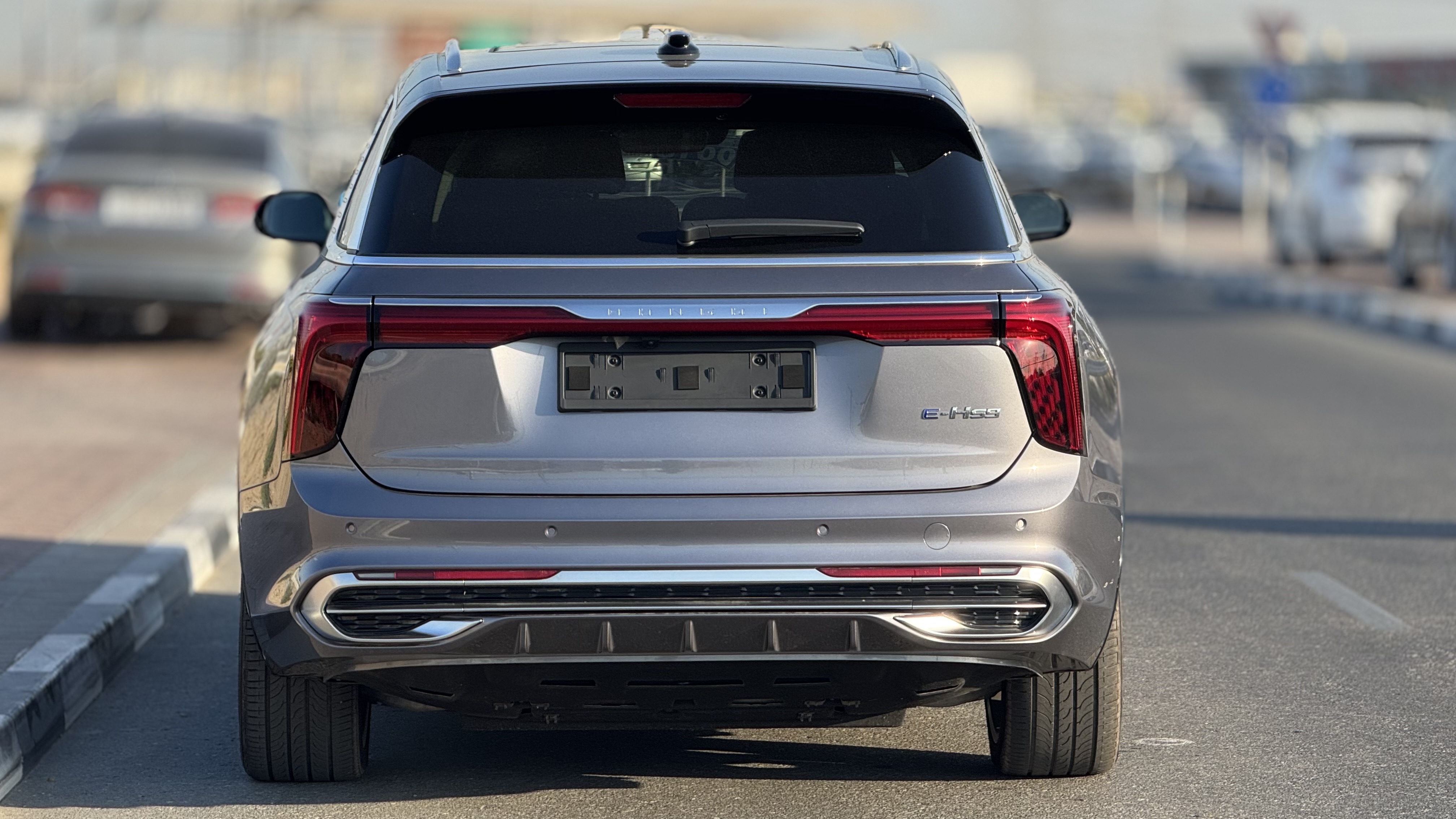 Hongqi E-HS9 Flagship - View 6