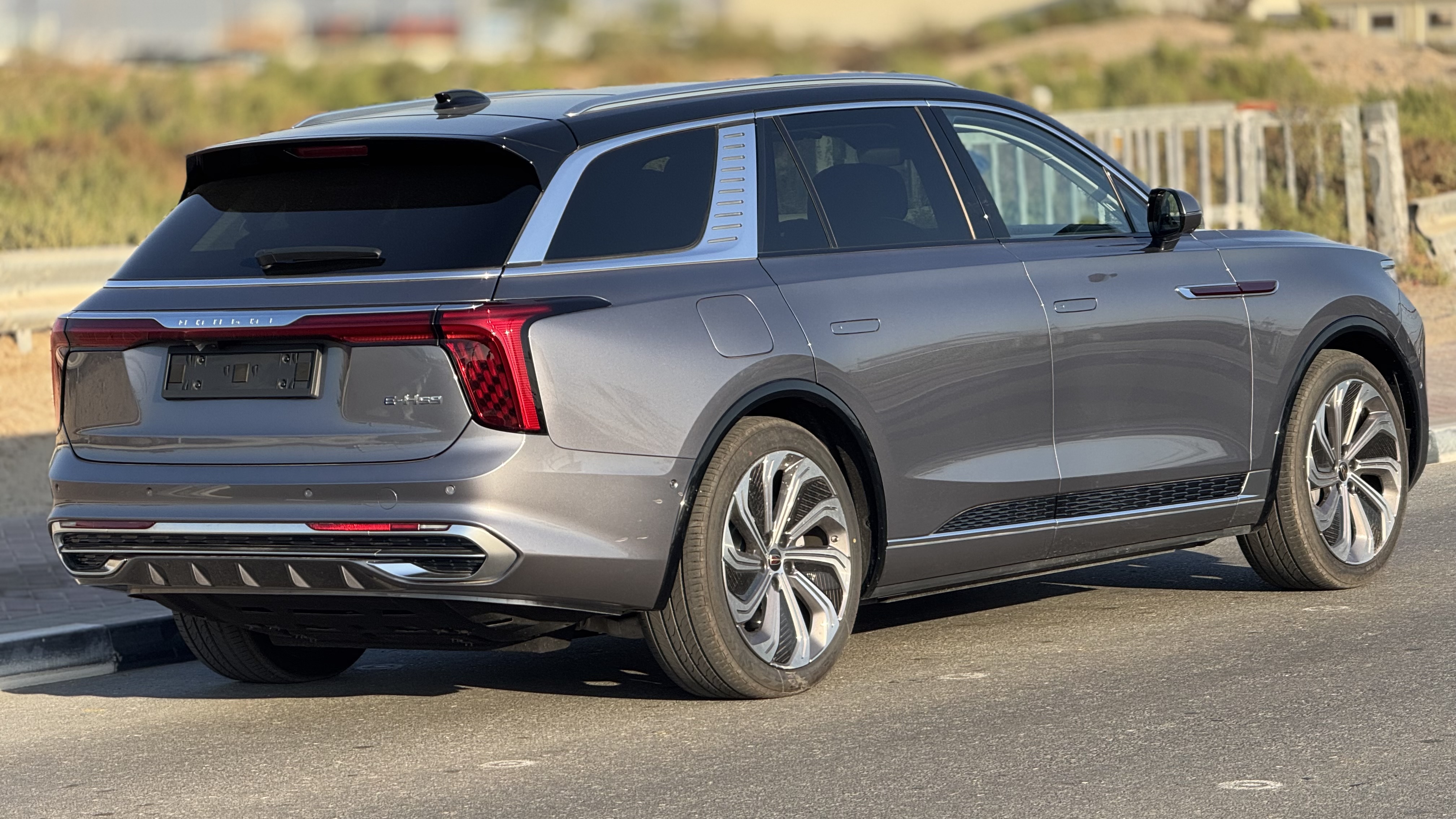 Hongqi E-HS9 Flagship - View 7